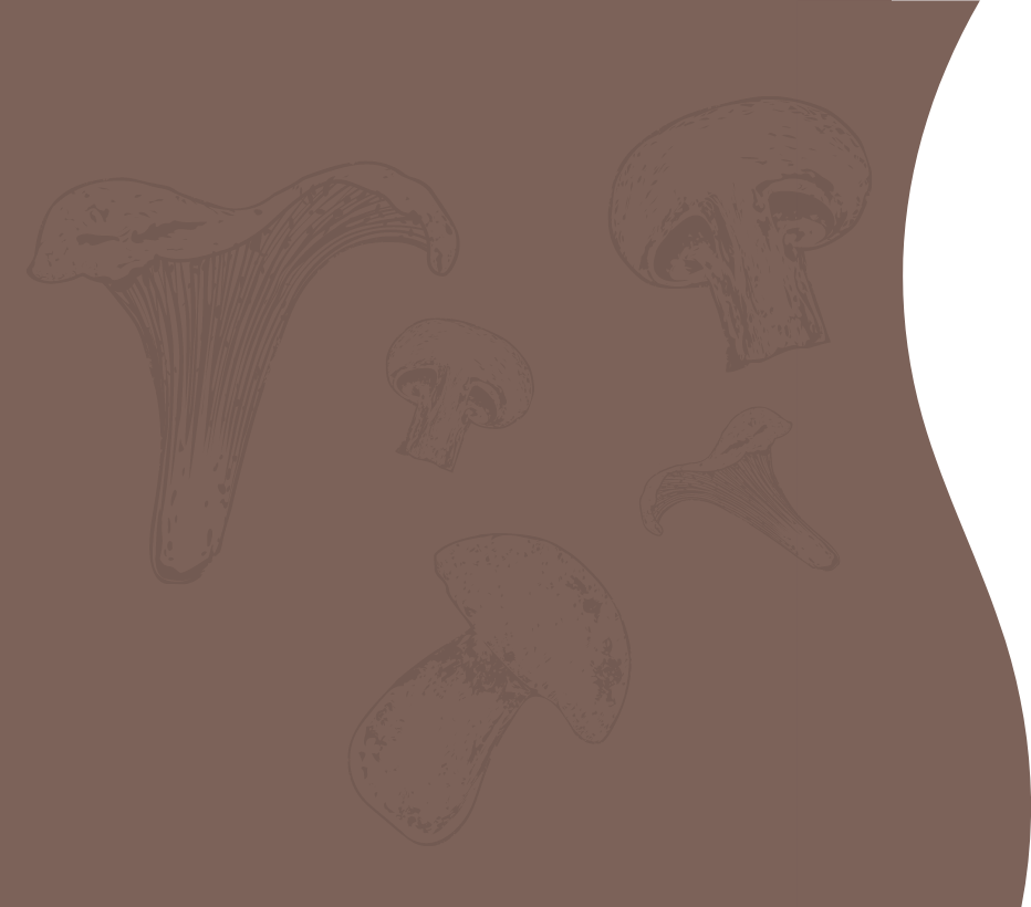 Mushrooms background